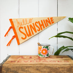 Hello Sunshine Pennant Flag